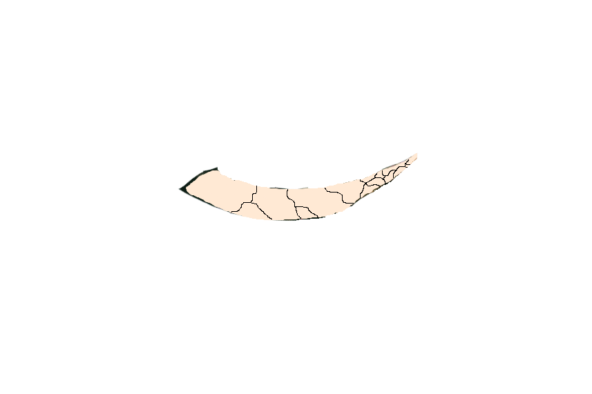 Ele Tusk